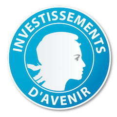 investissements-d-avenir_logo